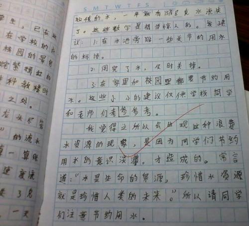 家庭干扰构成500字