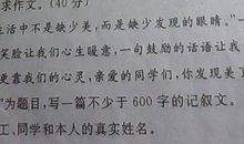 我发现了美作文