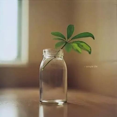 低调练习