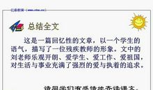 理想的风筝读后感