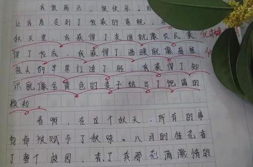 丰富您的构图