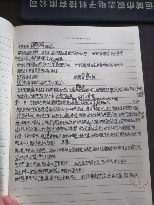摘录和评论