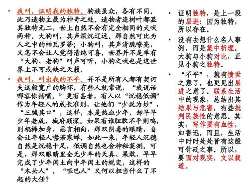 心中的彩虹600字