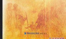 苦难与辉煌读后感