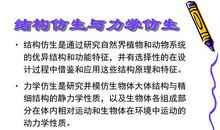 仿生学的作文400字