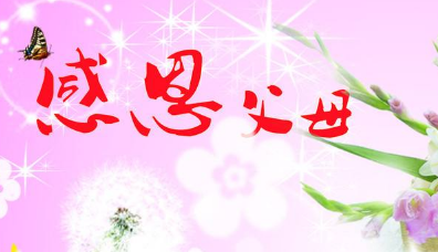 青年梦作文900字
