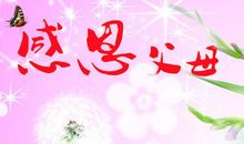 青春的梦想作文900字