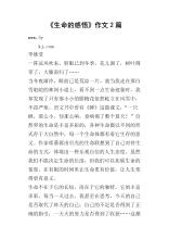 理解生活组成