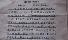 描写花的作文200字