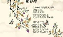 蝶恋花柳永改写