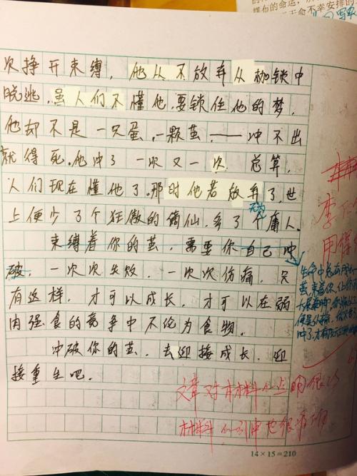 500字左右的艺术构图