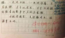 身边的艺术作文500字