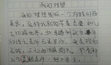 我的小学语文老师作文