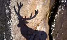 一生中不必计较的二十件事