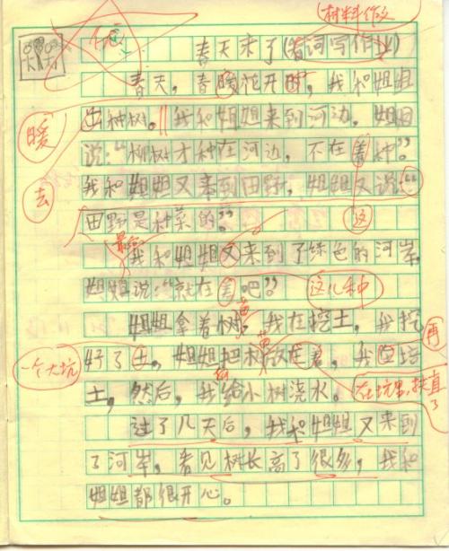 五年级作文春天在这里