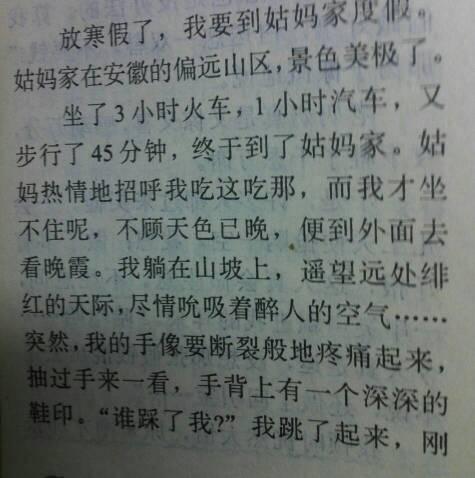 我最好的朋友作文600字