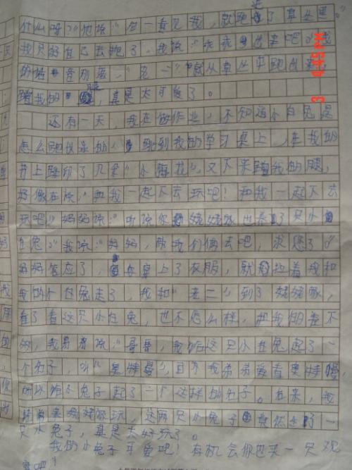 写小论文