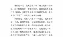 关于观察昆虫的作文