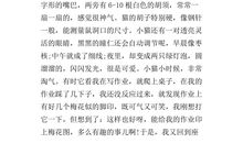 关于花的作文600字