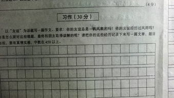 心中的阳光600字