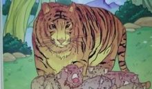 读《最后一头战象》有感