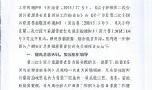 缩写鸡毛信400字