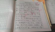 新年日记300字