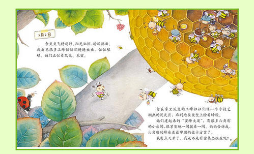 观察昆虫日记
