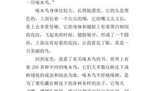 啄木鸟的启示作文