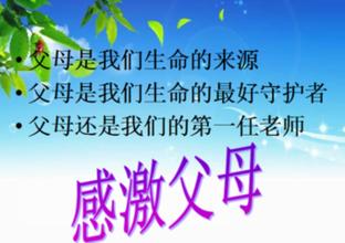 感恩节的故事