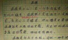 温暖照亮我初中作文