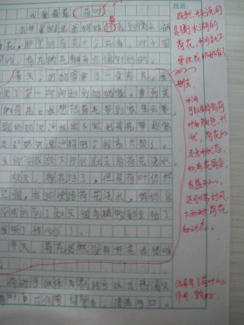 莲花组成