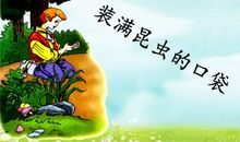 装满昆虫的口袋读后感