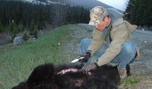 植物给人类的启示