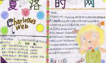 武夷山我的读后感