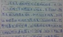 老师我想对你说的作文