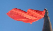 红旗飘飘读后感