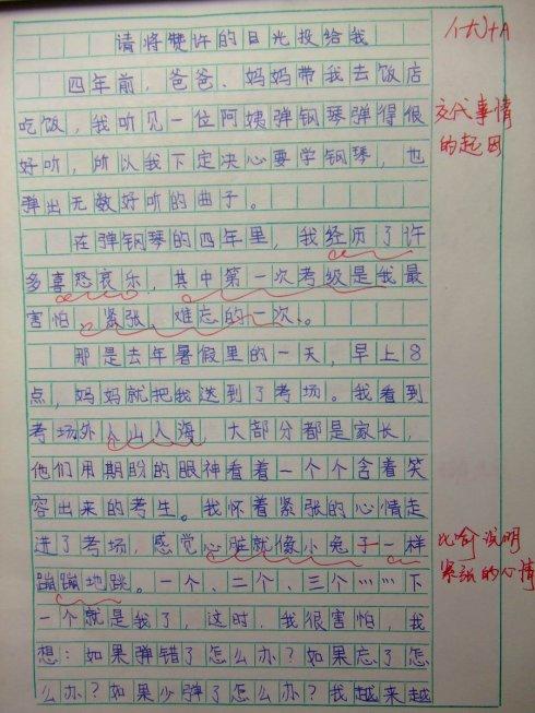 如果我是四年级作文