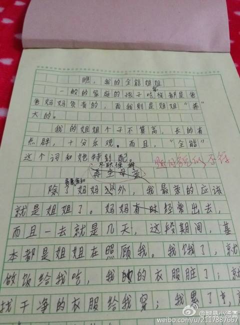 我哥哥的日记