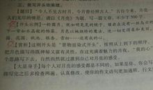 温暖的目光作文