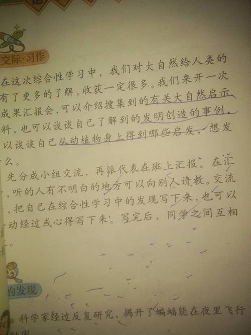 大自然的启蒙四年级作文