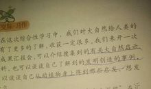 大自然的启示四年级作文