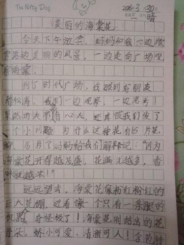 作文写作春天的花朵