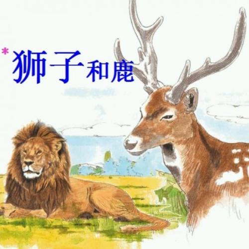 什么动物给我们