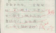 过年啦作文
