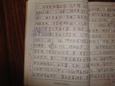 600字，带有温暖的细节
