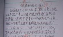 小学生作文家庭趣事