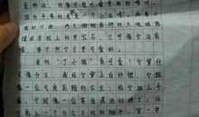 我喜欢什么花的作文