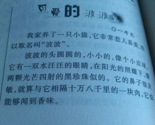 幼犬作文400字