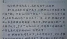 我爱秋天作文100字